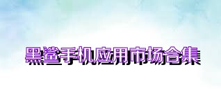 黑鲨手机应用市场合集