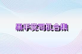 黑手党司机合集