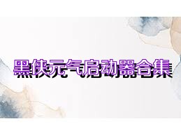 黑侠元气启动器合集
