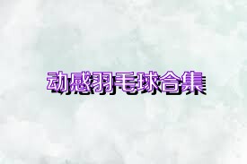动感羽毛球合集