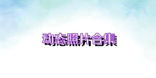 动态照片合集