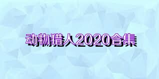 动物猎人2020合集