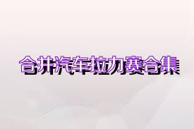 合并汽车拉力赛合集