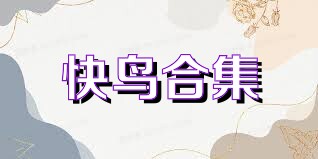 快鸟合集