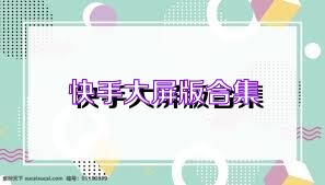 快手大屏版合集