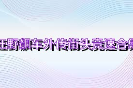 狂野飙车外传街头竞速合集