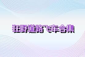 狂野道路飞车合集