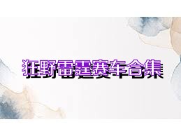 狂野雷霆赛车合集