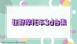 狂野摩托车3d合集