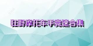 狂野摩托车手竞速合集