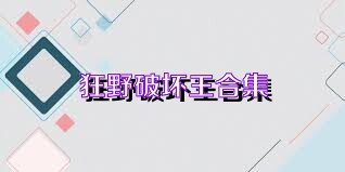 狂野破坏王合集