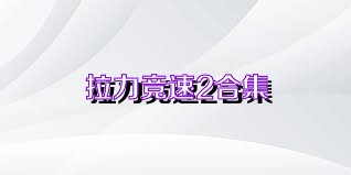 拉力竞速2合集
