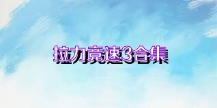 拉力竞速3合集