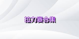 拉力赛合集
