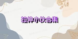 拉伸小伙合集
