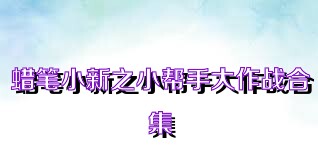 蜡笔小新之小帮手大作战合集