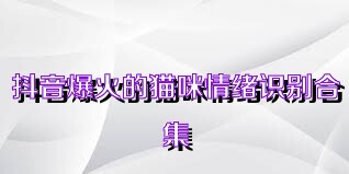 抖音爆火的猫咪情绪识别合集