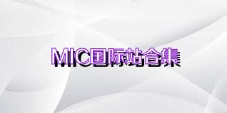 MIC国际站合集