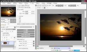 sai绘图软件如何在一张纸里插入两张图片