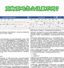 如何设置word页码