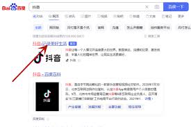 抖音在线观看网页版官方入口在哪