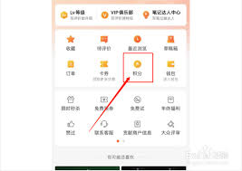 大众点评如何看好店优惠