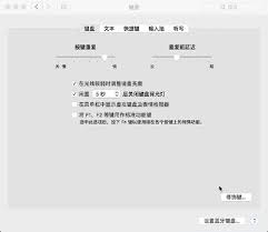 Tab键如何使用进行切换
