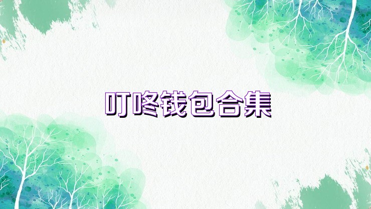 叮咚钱包合集