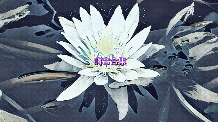 嗨音合集