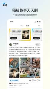 街猫app怎么投诉