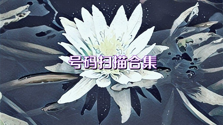 号码扫描合集