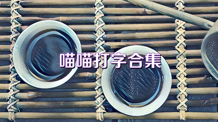 喵喵打字合集
