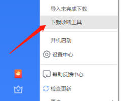 如何用迅雷11诊断下载网络信息