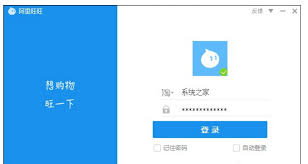 阿里旺旺为何登录不上去