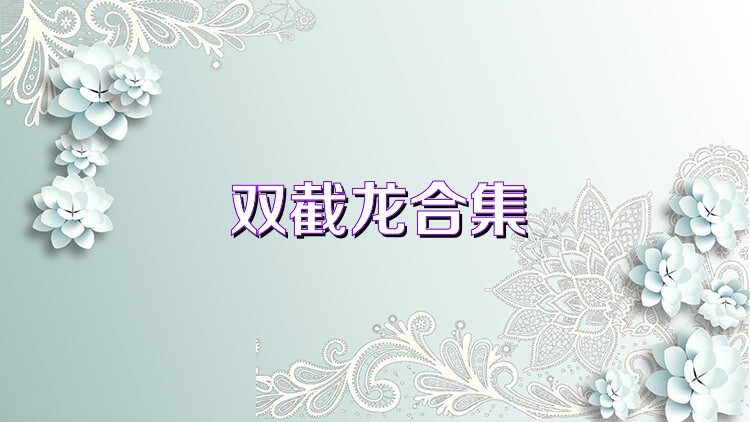 双截龙合集