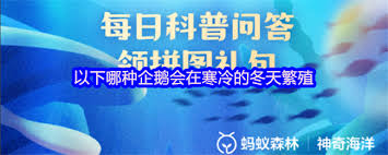 哪种企鹅会在寒冷冬天繁殖