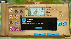 万龙觉醒宠物如何洗练