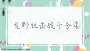荒野狙击战斗合集