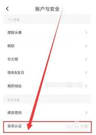 soul如何进行身份认证