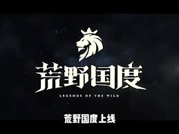 荒野国度兑换码怎么用