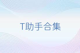 T助手合集