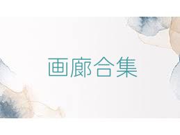 画廊合集