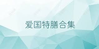 爱国特膳合集