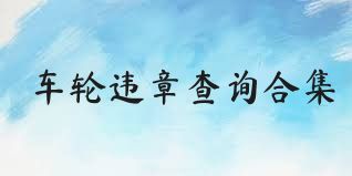 车轮违章查询合集