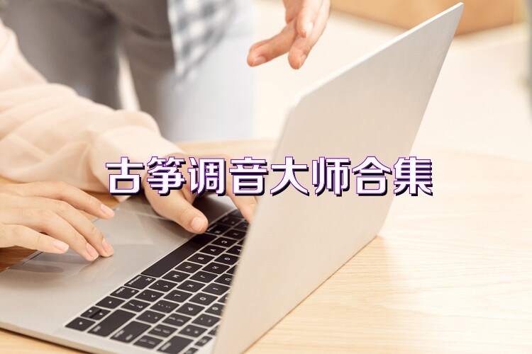 古筝调音大师合集