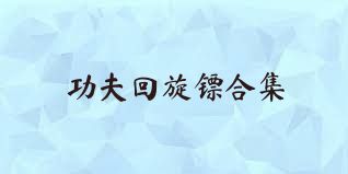 功夫回旋镖合集