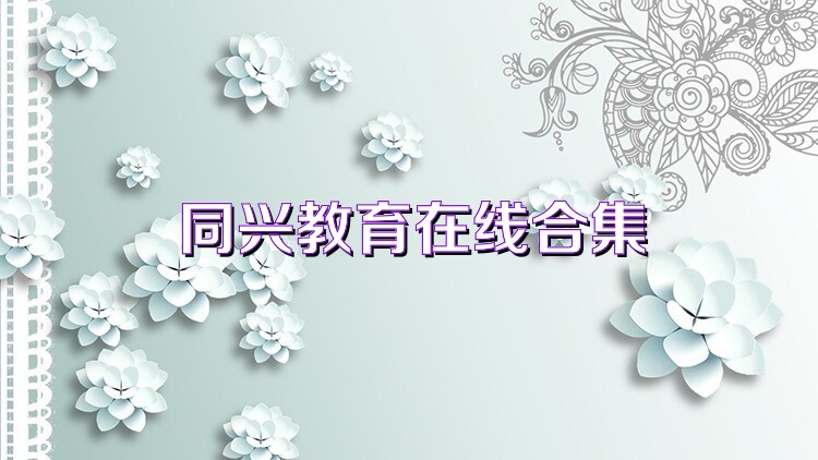 同兴教育在线合集