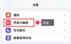 苹果手机怎样设置来电歌曲铃声