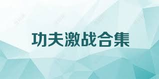 功夫激战合集