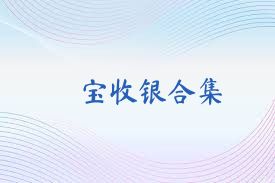 珹宝收银合集
